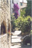 Cte d` Azur